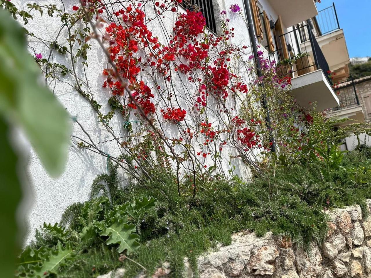 Lion'S Villa Vlorë 外观 照片
